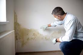 Best Residential Mold Inspection & Testing  in Hanover, IN